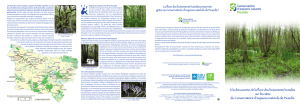 Plaquette Flore des boisements humides 2385.12 ko | PDF