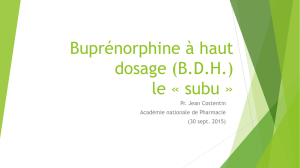 Buprénorphine à haut dosage (BDH) le « subu