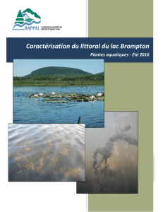 Consultez le rapport. - Association pour la protection du Lac Brompton