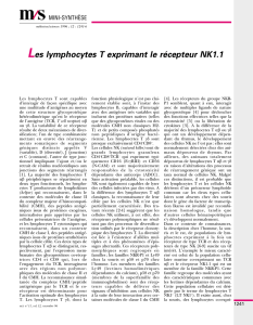 Les lymphocytes T exprimant le récepteur NK1.1 - iPubli