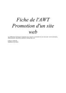 Fiche de l`AWT Promotion d`un site web