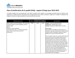 Plans d`amélioration de la qualité (PAQ) : rapport d`étape pour 2013