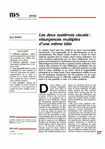 Les deux syst&egrave;mes visuels : r&eacute;surgences multiples d - iPubli