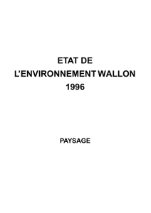 etat de l`environnement wallon 1996