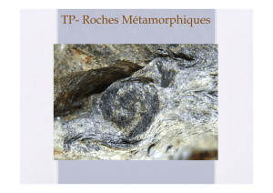 TP4-roches Metamorphiques