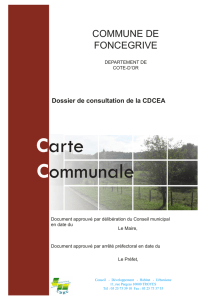 Fiche_consultation - cote