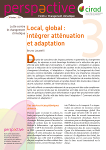 Local, global : intégrer atténuation et adaptation