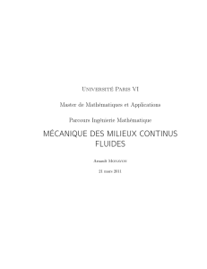 mécanique des milieux continus fluides