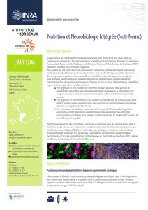 Nutrition et Neurobiologie Intégrée (NutriNeuro) UMR 1286