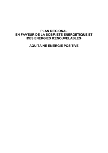 Plan Aquitaine Energie Positive Plan régional "Aquitaine Énergie