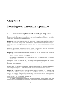 Homologie des complexes simpliciaux - PHPNET