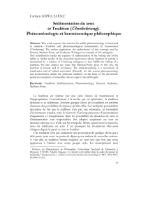 Phénoménologie et herméneutique philosophique