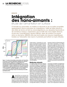 Intégration des nano-aimants : étude de l`aimantation en surface