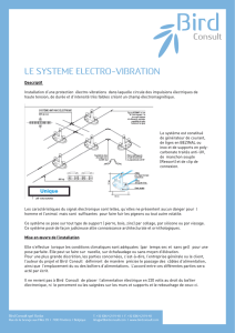 le systeme electro-vibration