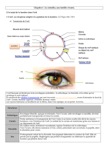 oeil cours 1