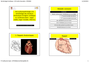 Maladie coronaire 1- Rappels Anatomiques ECG et artères