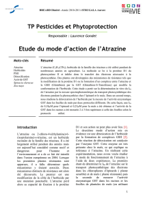 Etude du mode d`action de l`Atrazine