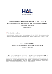 Identification of Enteropathogenic E. coli (EPEC) effector