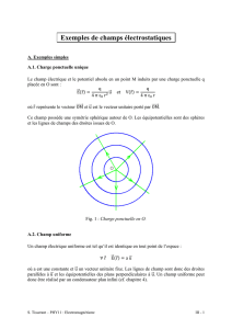 Exemples de champs électrostatiques