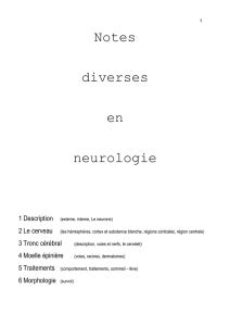 Notes diverses en neurologie