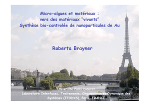 Roberta Brayner - Institut des NanoSciences de Paris