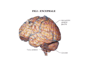 FIG 11