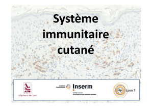 Système immunitaire cutané