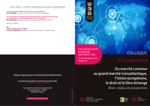 Programme en PDF - Université de Bretagne Occidentale