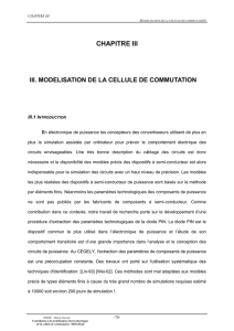 Contribution à la modélisation électro