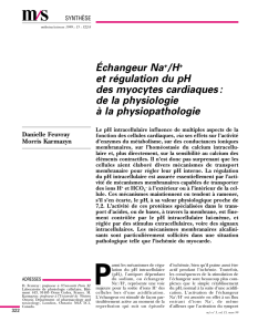 Échangeur Na+/H+ et régulation du pH des myocytes - iPubli