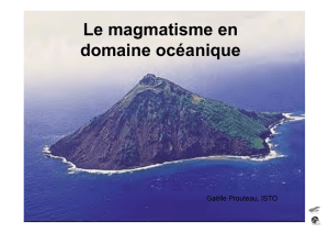 Le magmatisme en domaine océanique