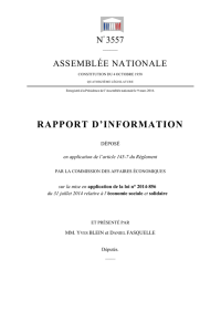 rapport d`information