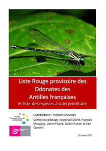Liste Rouge provisoire des Odonates des Antilles françaises