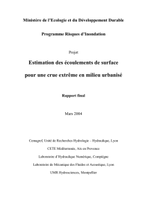 Estimation des écoulements de surface pour une crue extrême en