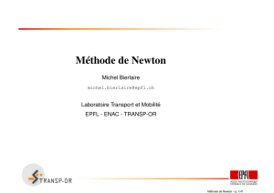 Méthode de Newton - Transp-Or