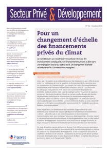 Secteur Privé Développement