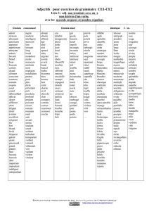 Adjectifs pour exercices de grammaire CE1-CE2
