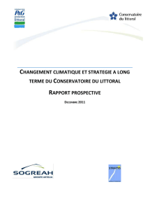 Rapport "Changement climatique et stratégie à long terme du