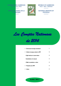 Les Comptes Nationaux de 2014