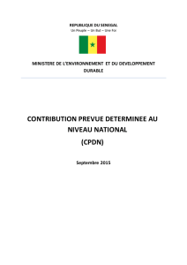 CONTRIBUTION PREVUE DETERMINEE AU NIVEAU NATIONAL