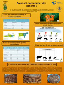 Poster : Pourquoi consommer des insectes
