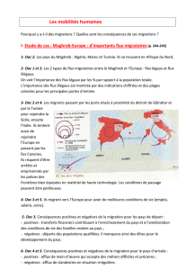 Les mobilités humaines (GEOGRAPHIE 4°)