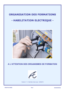 DOSSIER DE PREPARATION A L`HABILITATION ELECTRIQUE