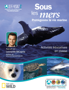 Activités éducatives en classe Protégeons la vie marine