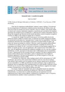 Immunité innée : le modèle drosophile Jean-Luc Imler1