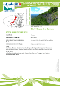 Gorges de la Dordogne - Les services de l`Etat dans le Cantal