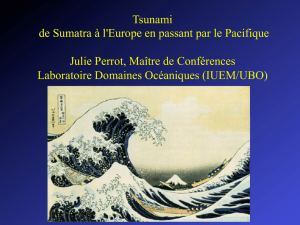Tsunami de Sumatra à l`Europe en passant par le Pacifique Julie