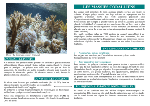 Les coraux - Brigoudou