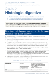 Histologie digestive