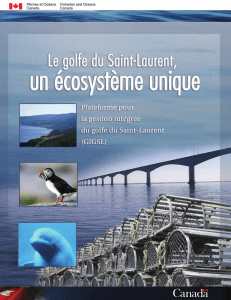 golfe du Saint-Laurent - Pêches et Océans Canada